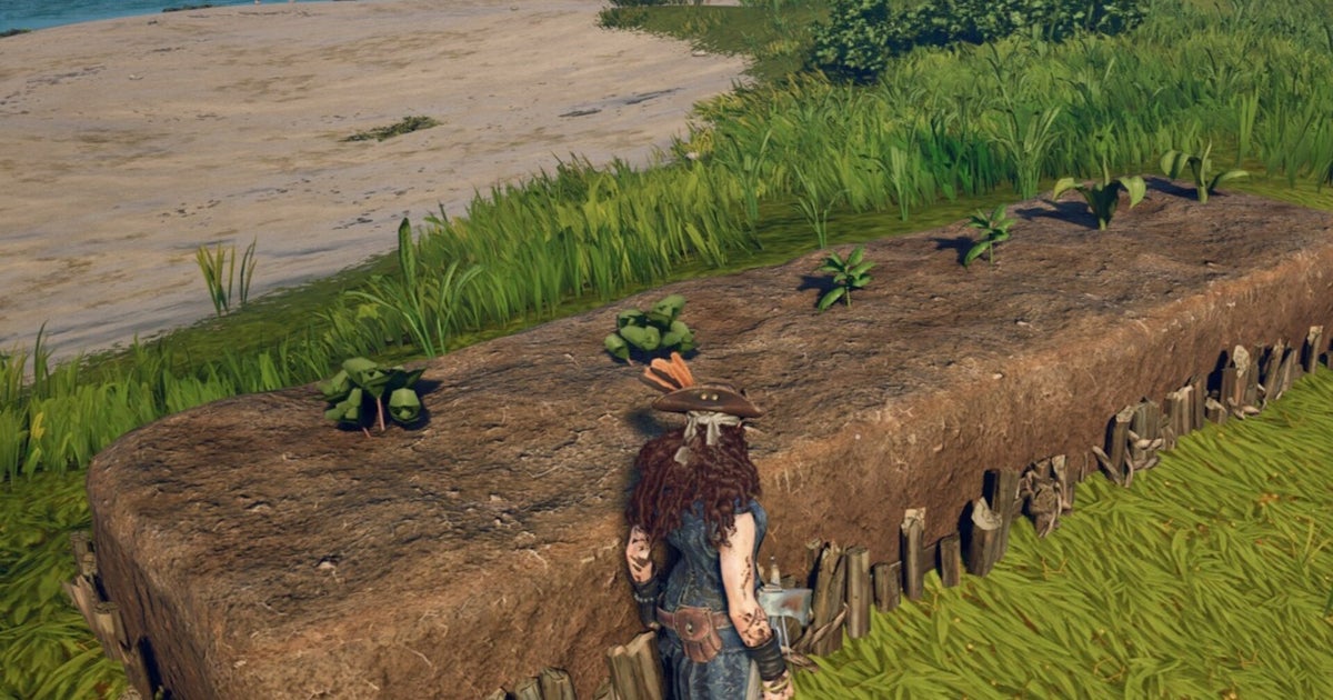 Як отримати родючий ґрунт у Windrose