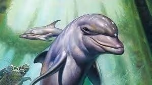 Творець Ecco the Dolphin анонсував ремастери та нову частину серії