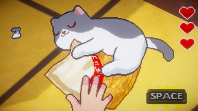 Гра про фотографування котів Neko Odyssey вийде на Nintendo Switch