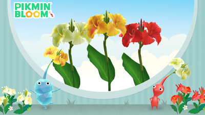 Анонсовано серпневі Дні спільноти та нові квіти в Pikmin Bloom