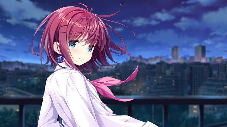Візуальні новели Einstein Yori Ai o Komete + APOLLOCRISIS вийдуть на Switch у 2027 році
