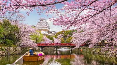 Продажі ігор та консолей в Японії: Switch 2 долає 2 мільйони